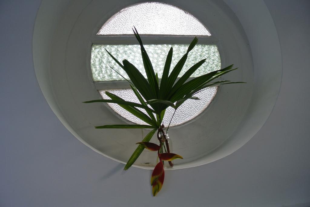 "27" Spathodea- Oasis In The City Colombo Rum bild