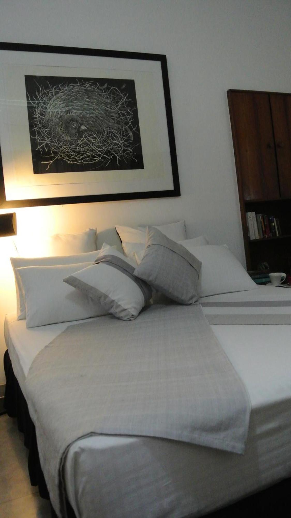 "27" Spathodea- Oasis In The City Colombo Rum bild