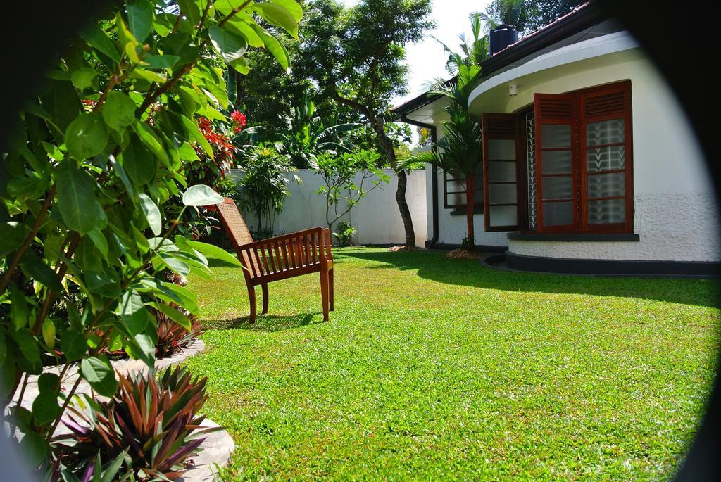 "27" Spathodea- Oasis In The City Colombo Rum bild