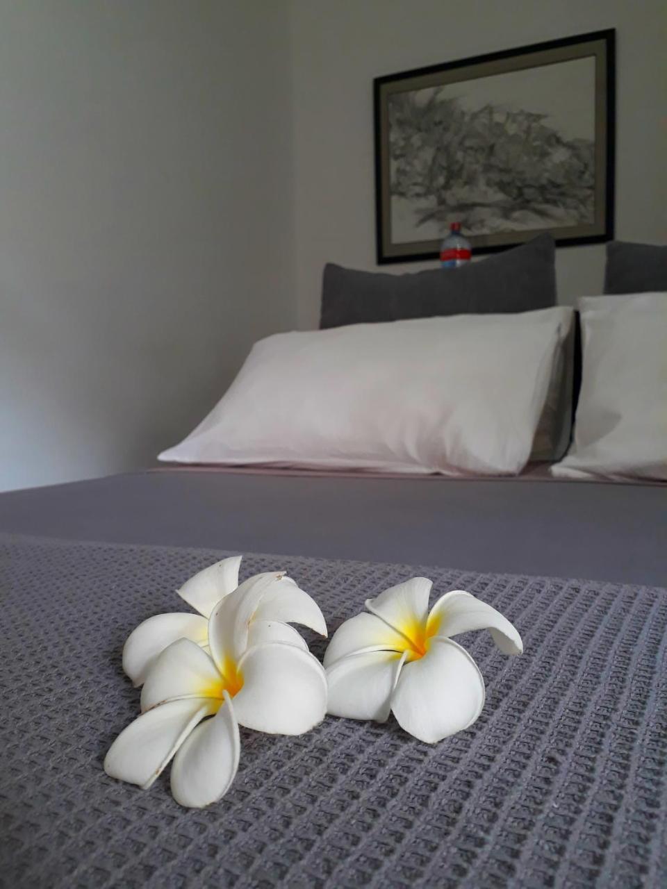 "27" Spathodea- Oasis In The City Colombo Exteriör bild